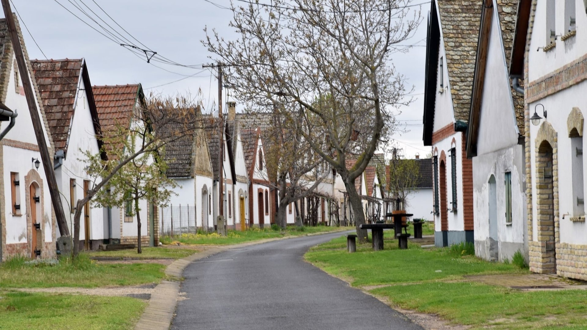 Fedezzük fel Magyarország borvidékeit – Ismerd meg a Hajósi pincefalut! Fedezzük fel Magyarország borvidékeit – Ismerd meg a Hajósi pincefalut!