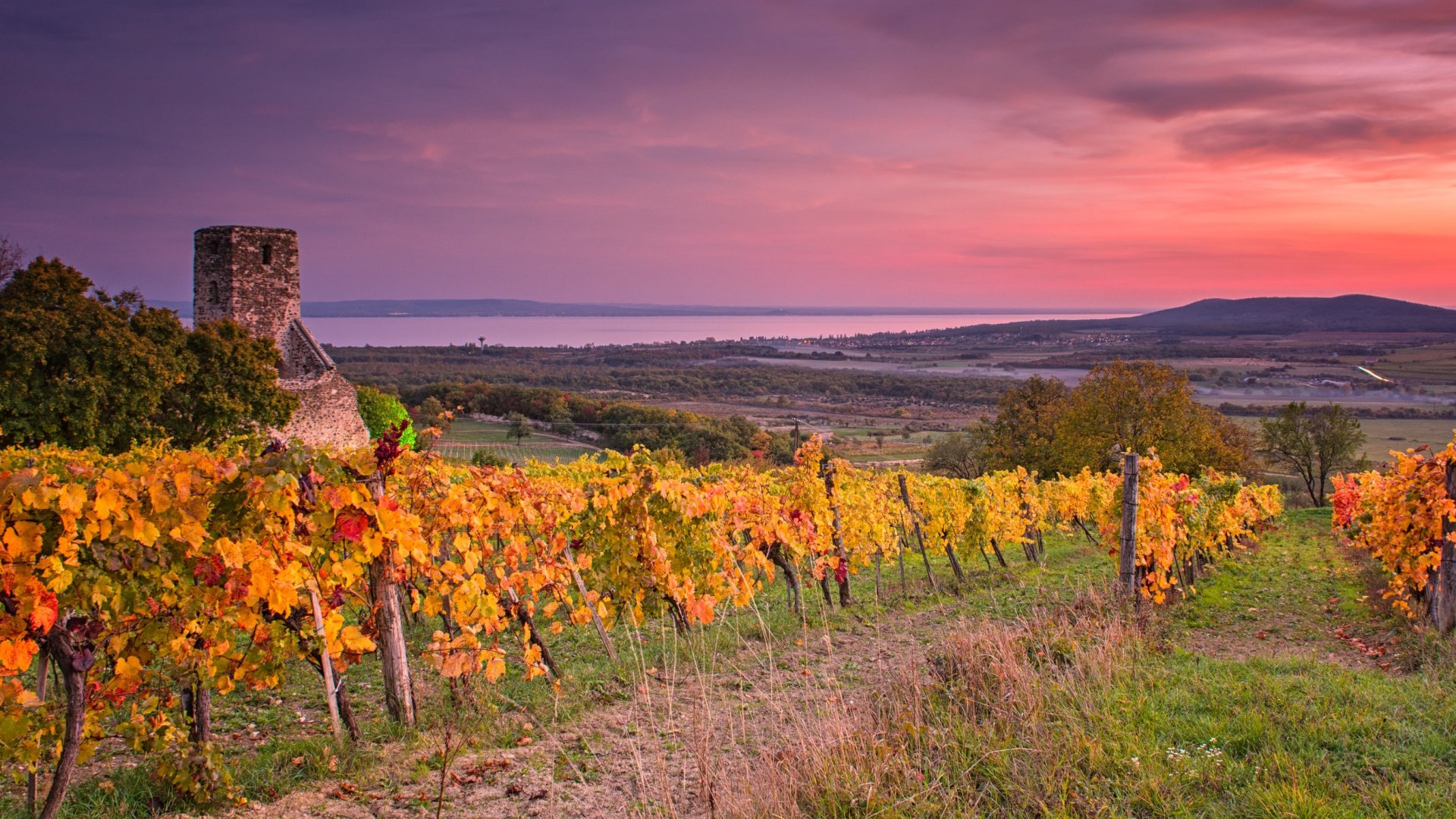 A legszebb kilátást keresed a Balatonra? – Körtúra Badacsonytomajon A legszebb kilátást keresed a Balatonra? – Körtúra Badacsonytomajon