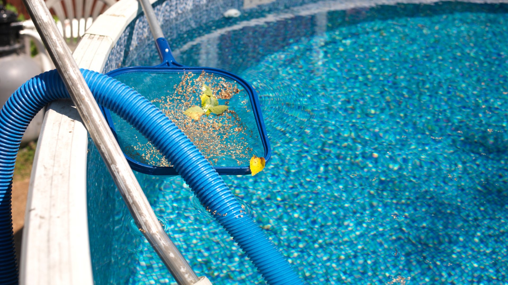 Hogyan távolítsuk el a virágport a medencéből – 5 módszer, amellyel biztosíthatjuk, hogy a víz friss és tiszta maradjon