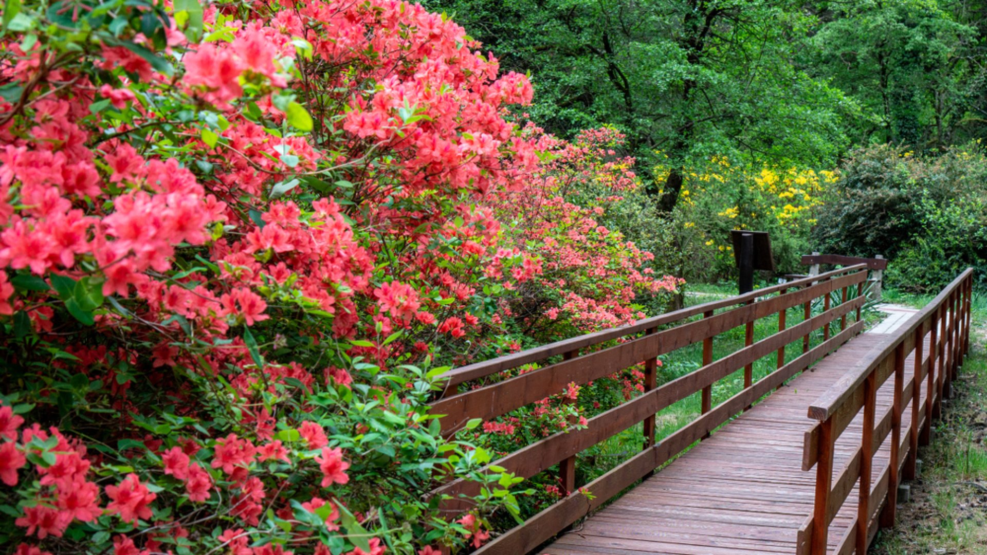 Ezek Magyarország legszebb arborétumai, amiket neked is látnod kell