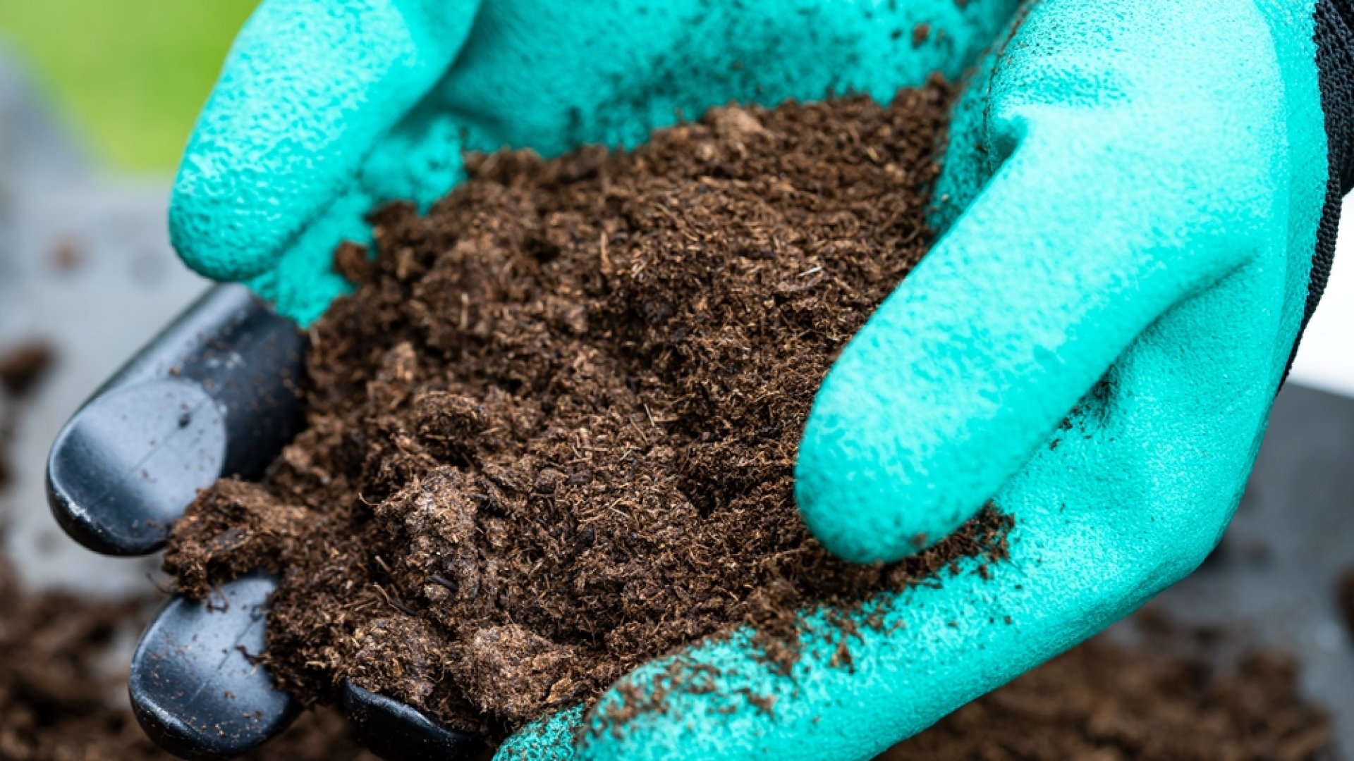 Termőtalaj mítoszok