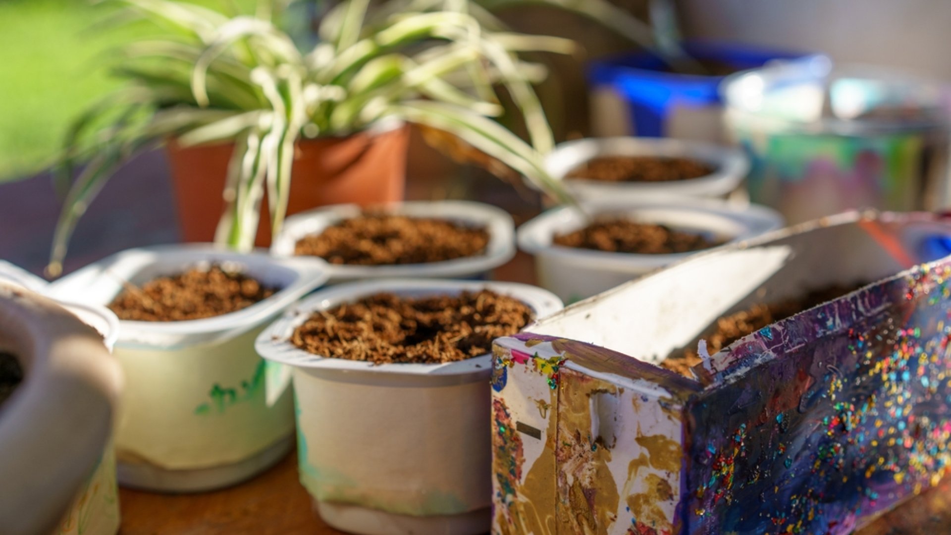 Készíts te is saját kezűleg kerti eszközöket háztartási cikkekből!