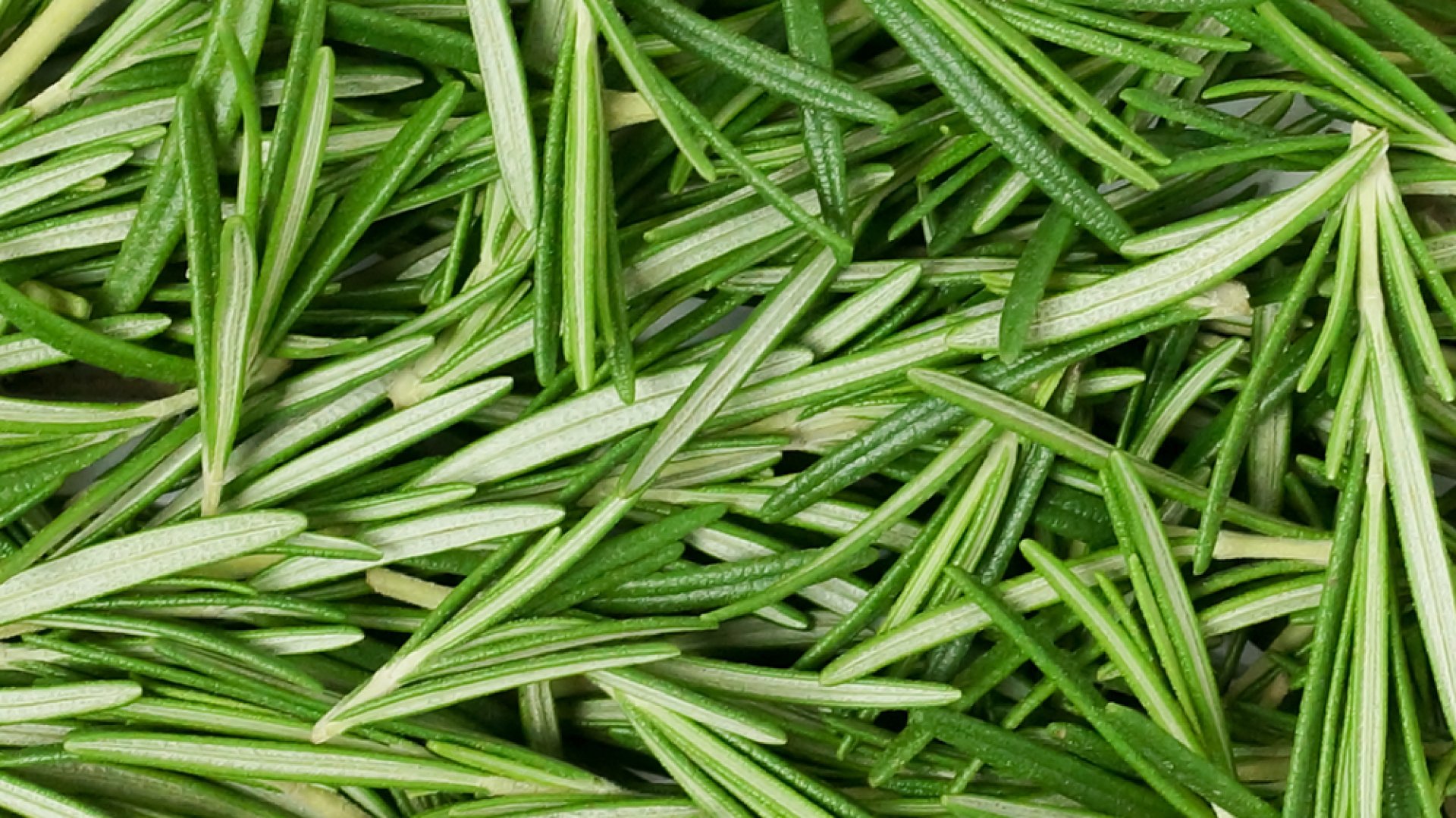 A kert kincsei a fürdőszobában: ezeket a növényeket használhatod a bőrödön