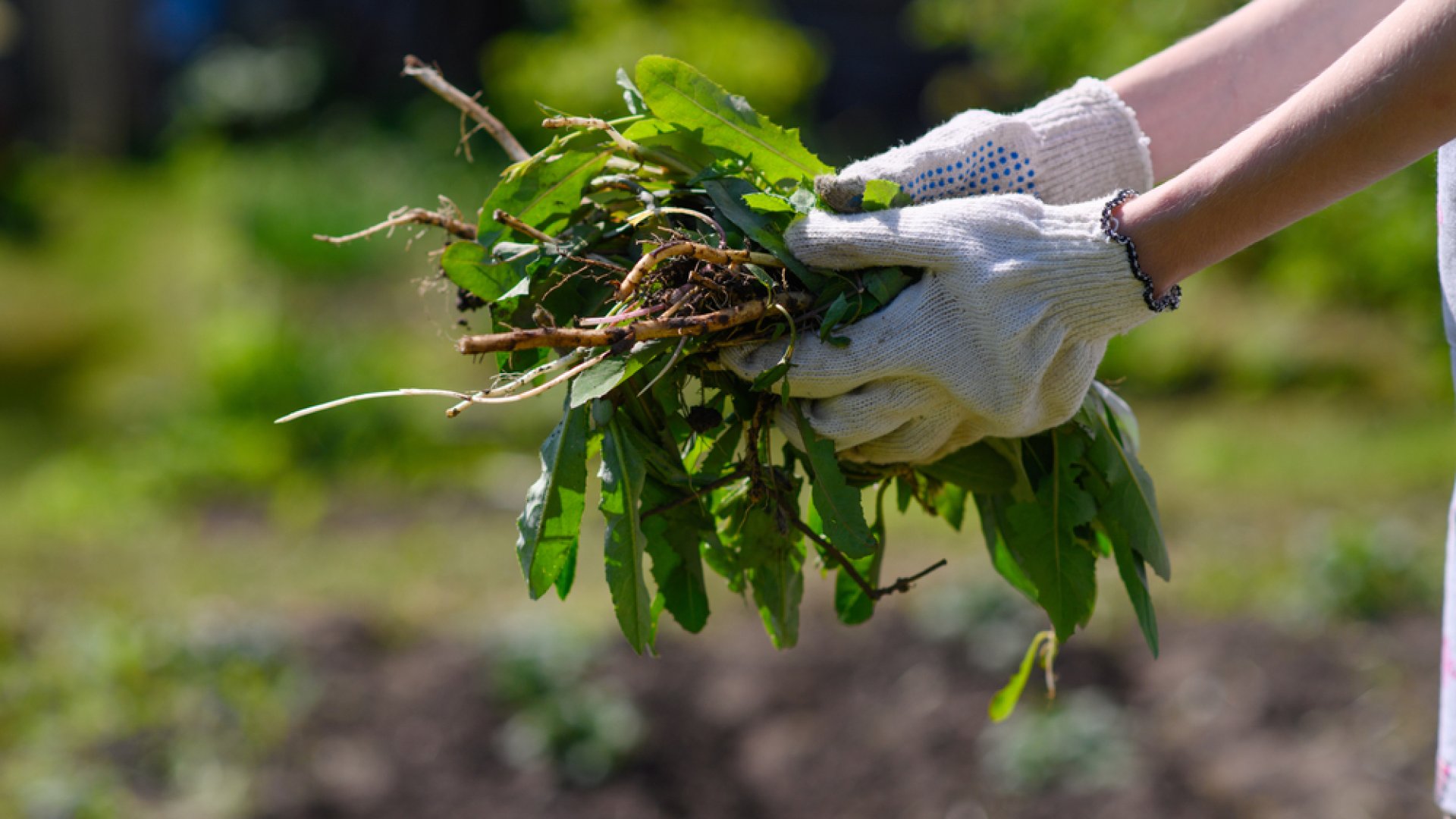 Kevesebb gaz a fűben 
