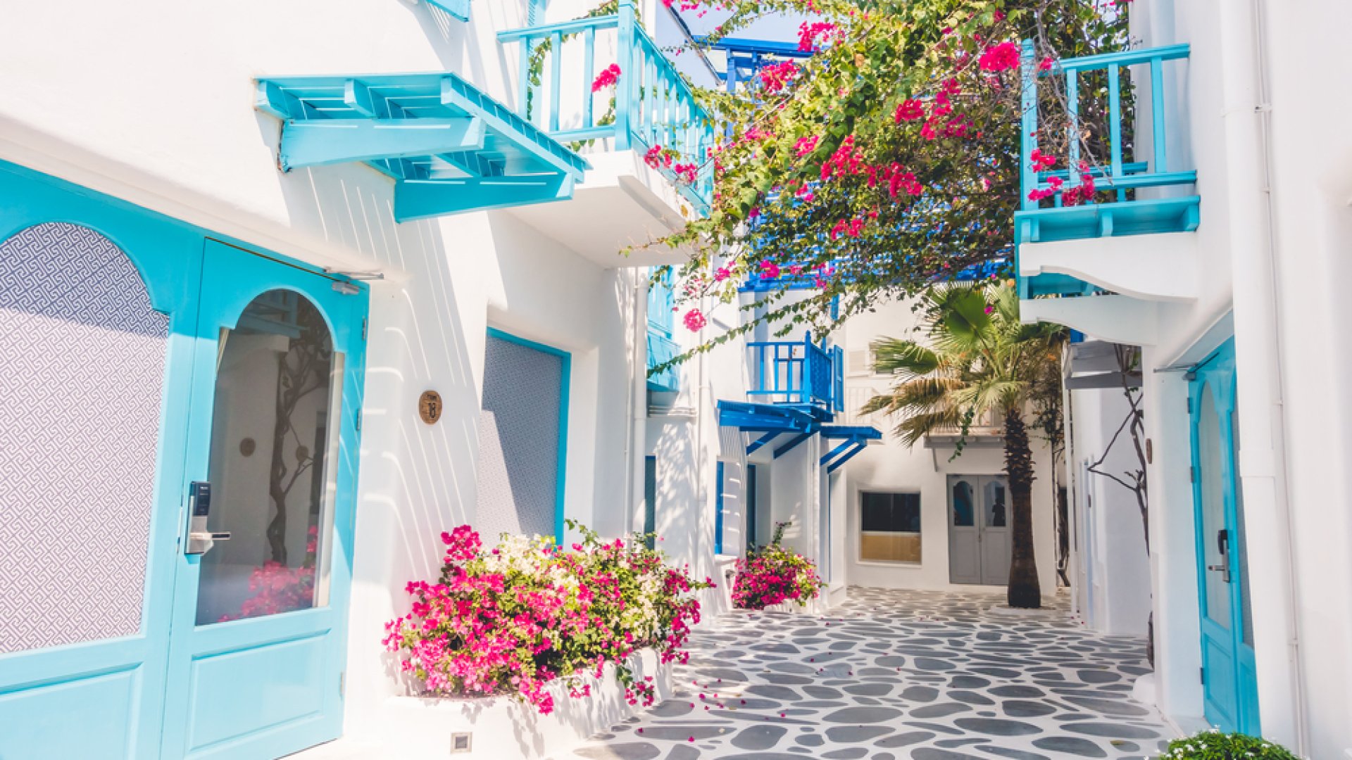 5 trópusi virág, ami cserépben teraszon, gangon is termeszthető