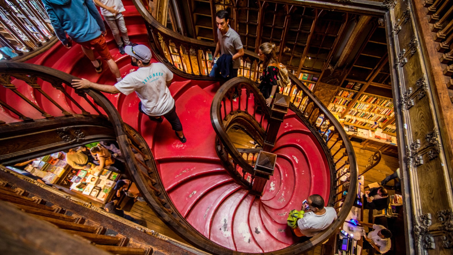 livraria lello porto livraria lello