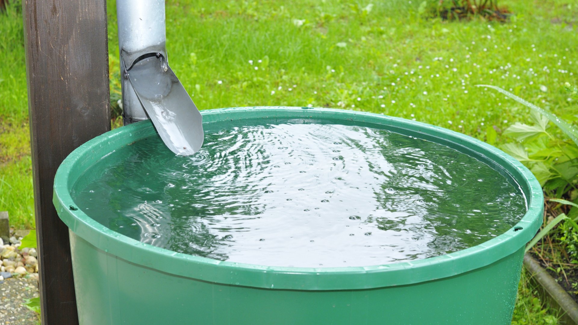 Spórolj időt és pénzt, javítsd növényeid egészségét: Így gyűjtsd hatékonyan az esővizet! Spórolj időt és pénzt, javítsd növényeid egészségét: Így gyűjtsd hatékonyan az esővizet!