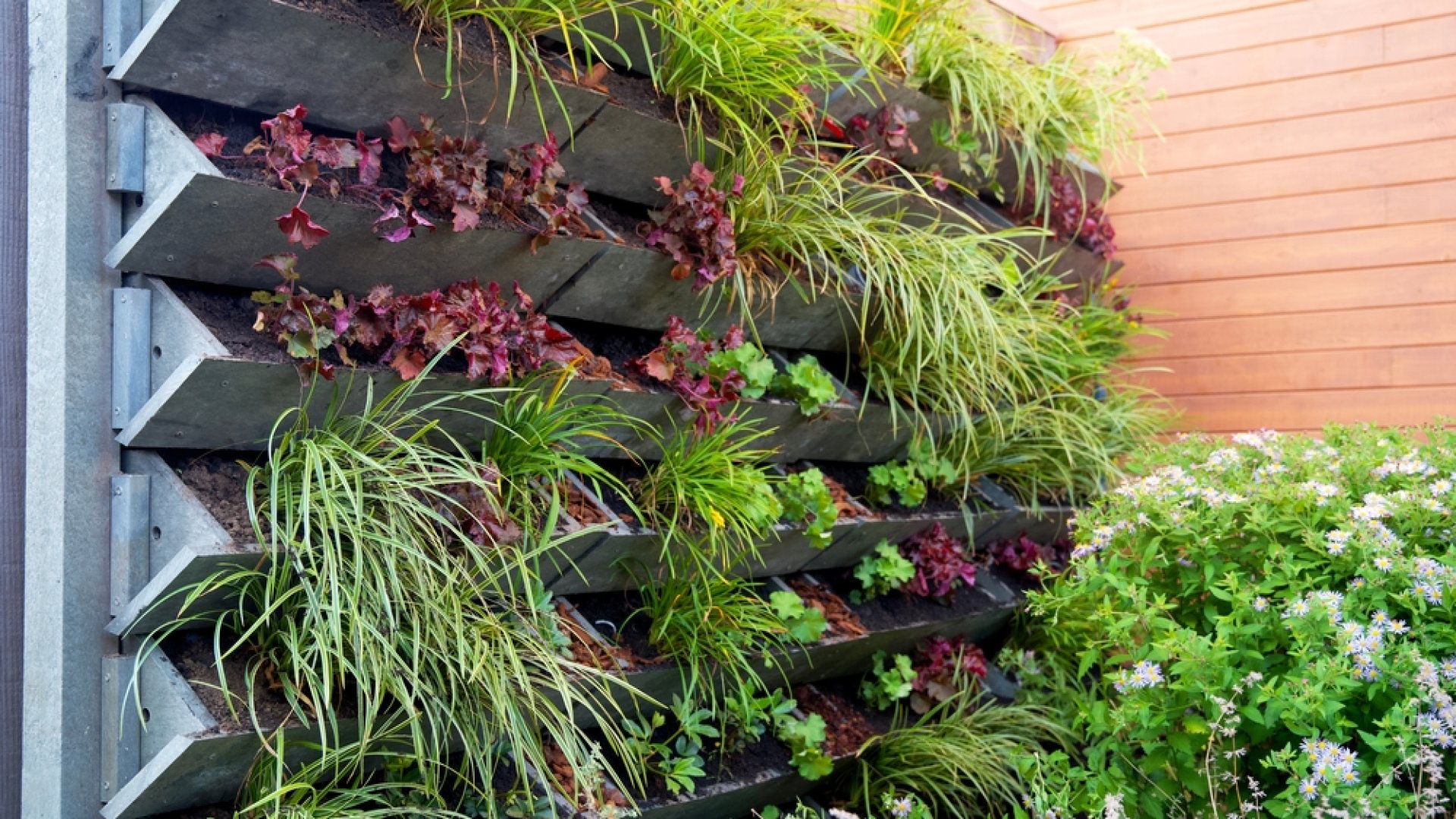 Így javítják a levegő minőségét és a te lelki egészségedet a függőleges kertek