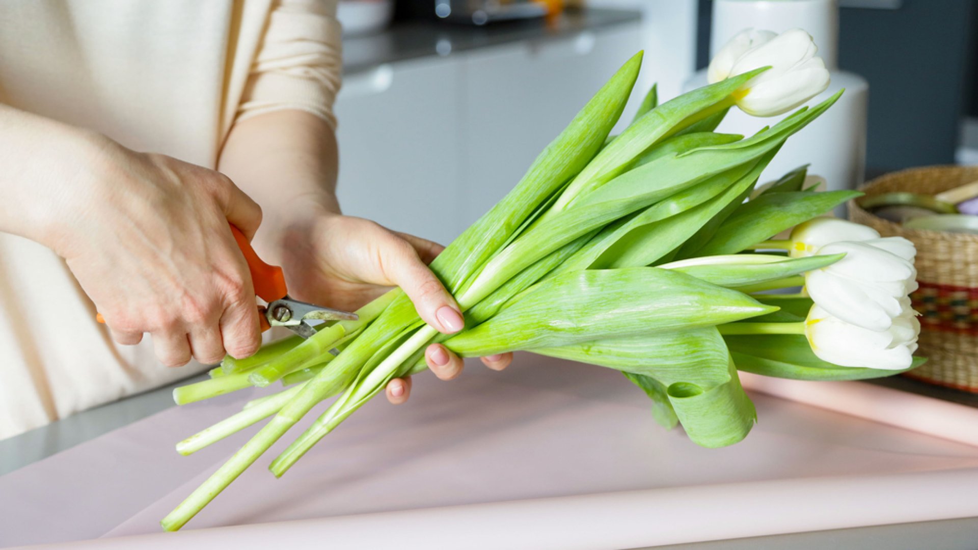Így vágd el a tulipán szárat, hogy sokáig szép legyen  Így vágd el a tulipán szárat, hogy sokáig szép legyen