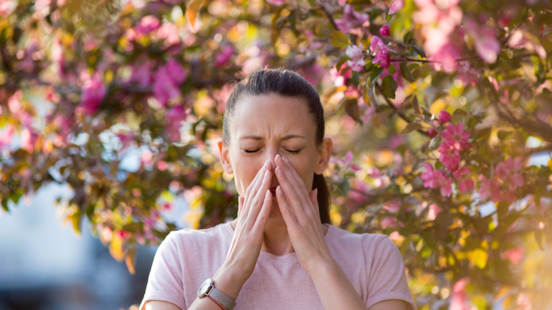Közel az emberek fele allergiás- felveszik a harcot a pollen ellen Japánban Közel az emberek fele allergiás- felveszik a harcot a pollen ellen Japánban