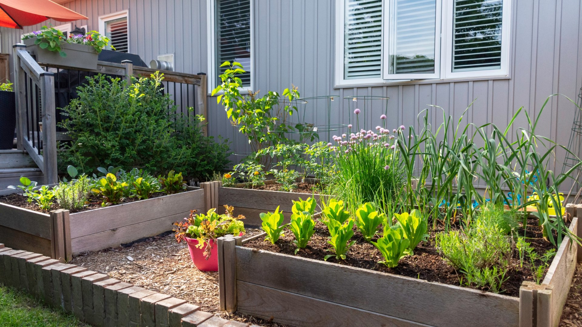 Hol van a legjobb hely egy emelt ágyás elhelyezésére?