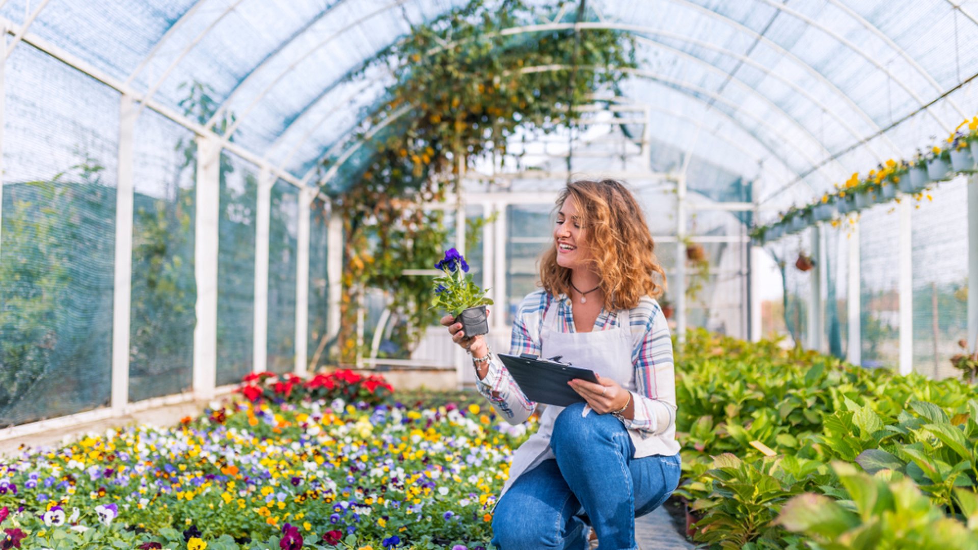 7 hasznos pénzmegtakarítási tipp a növények vásárlásakor