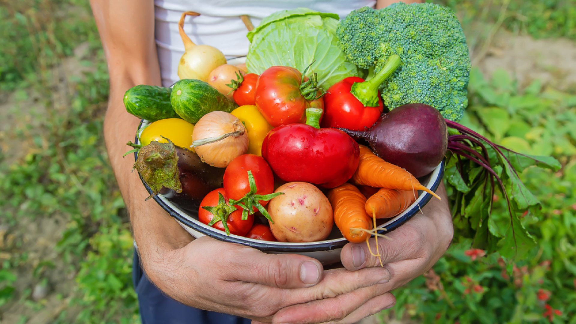 Mit ültessek áprilisban? A legtöbb zöldséget most kell elültetned, de pár gyümölcsöt is!