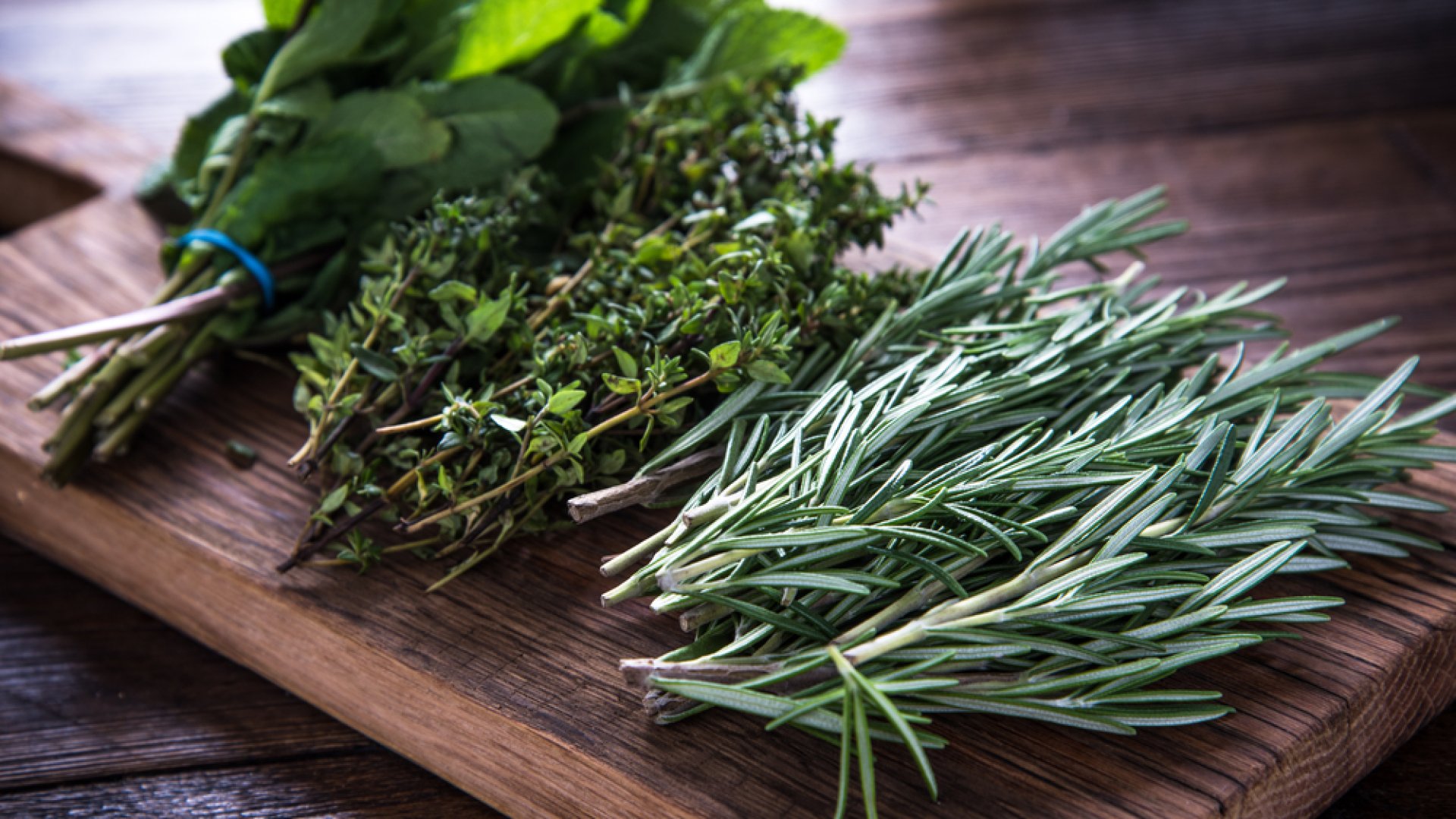 Grill fűszernövénykert – melyek a legjobb fűszernövények a pácokhoz?