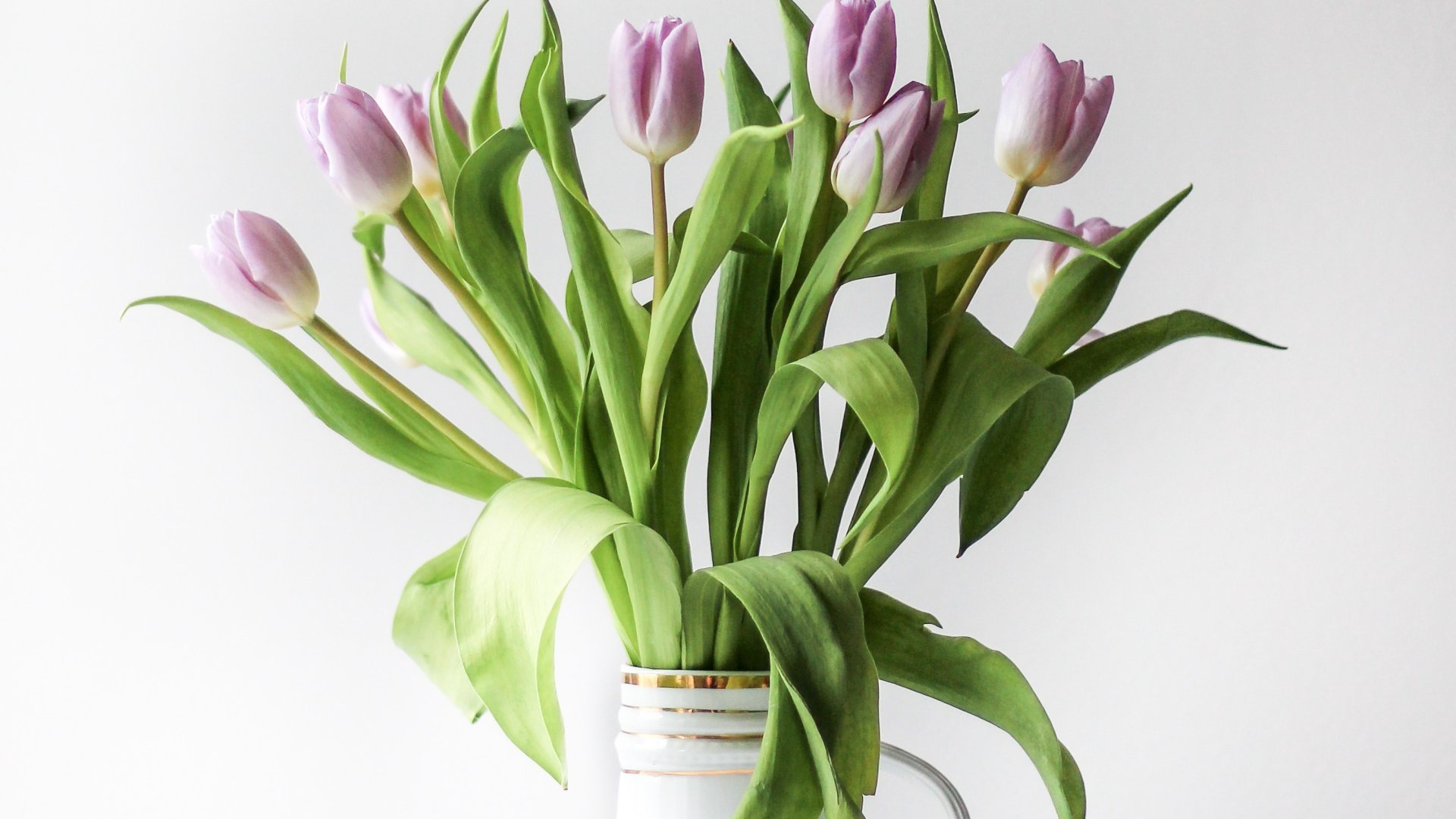 5 egyszerű lépés, ami segít abban, hogy a tulipánok tovább maradjanak szépek és egyenesek a vázában  5 egyszerű lépés, ami segít abban, hogy a tulipánok tovább maradjanak szépek és egyenesek a vázában