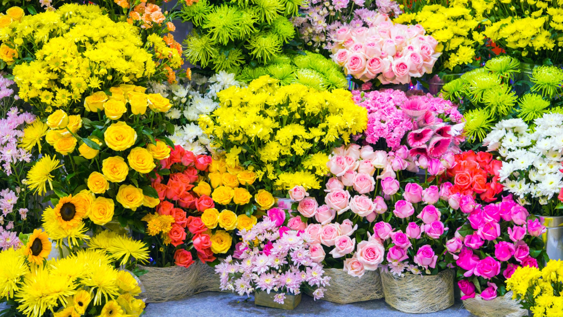 Ez a 10 legjobb illatú virág a világon