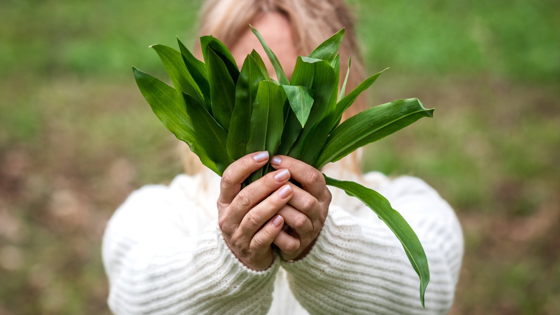 Újra itt a Soponyai Medvehagyma Fesztivál! – 2023-ban is gasztro keretek között élvezhetjük a Medvehagyma Fesztivál programjait! Újra itt a Soponyai Medvehagyma Fesztivál! – 2023-ban is gasztro keretek között élvezhetjük a Medvehagyma Fesztivál programjait!