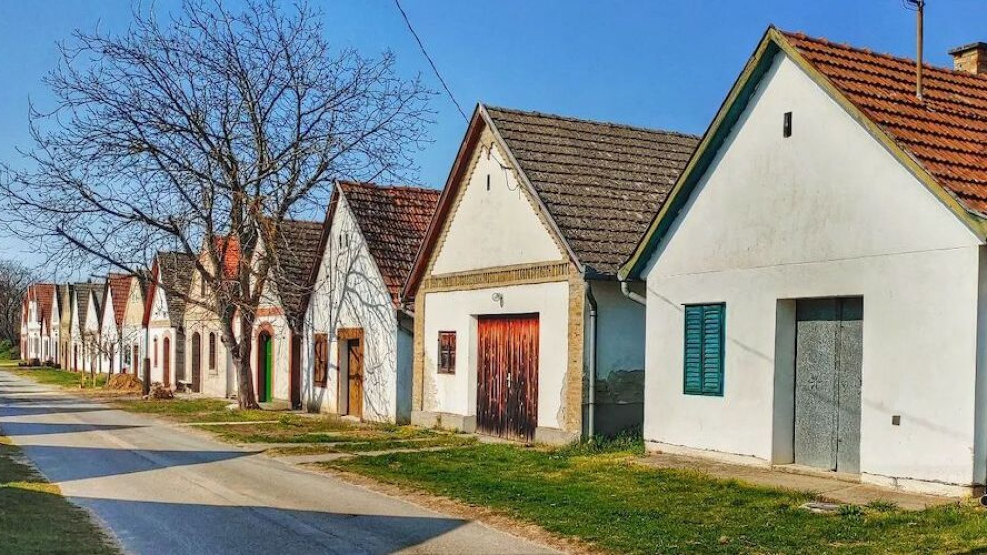 Kóstoljunk borokat Magyarország legnagyobb pincefalujában – Irány a Hajósi Pincefalu! Kóstoljunk borokat Magyarország legnagyobb pincefalujában – Irány a Hajósi Pincefalu!