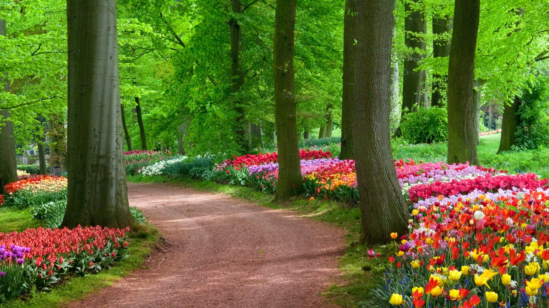 Magyarország legszebb virágoskertjeiben élvezhetjük ki az első tavaszi napsugarakat