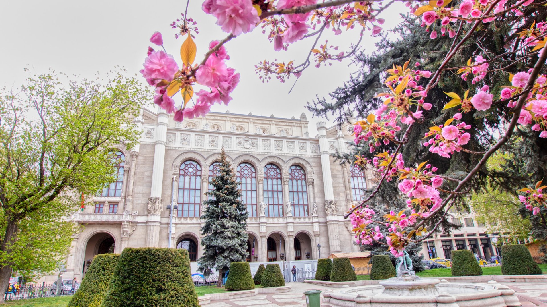 9 művészeti ág és több mint 70 ingyenes program közül válogathatunk az Essentia Artis-on a Pesti Vigadóban