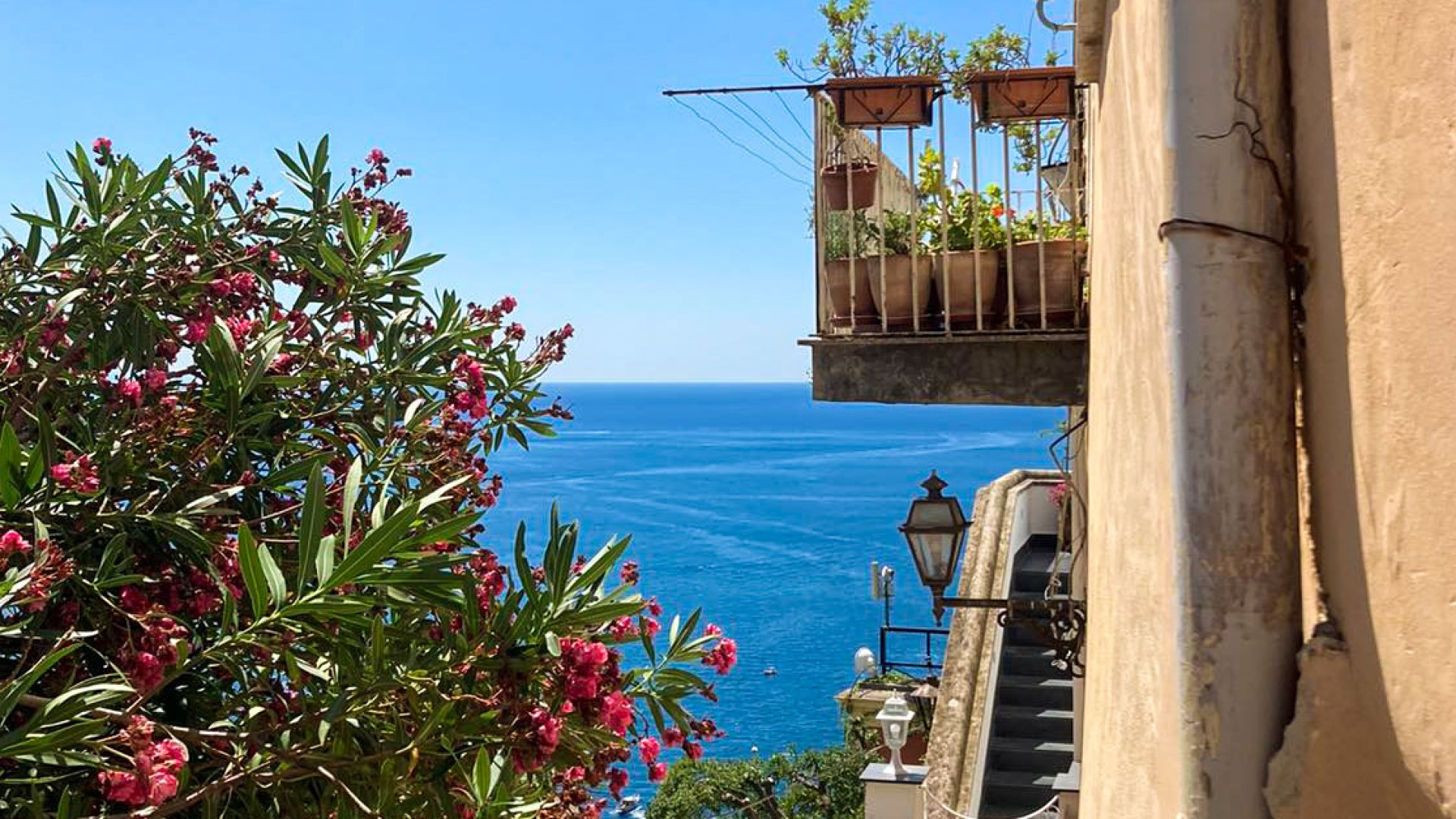 Mediterrán stílusú kert, balkon, vagy terasz? Ezeket a növényeket válaszd!