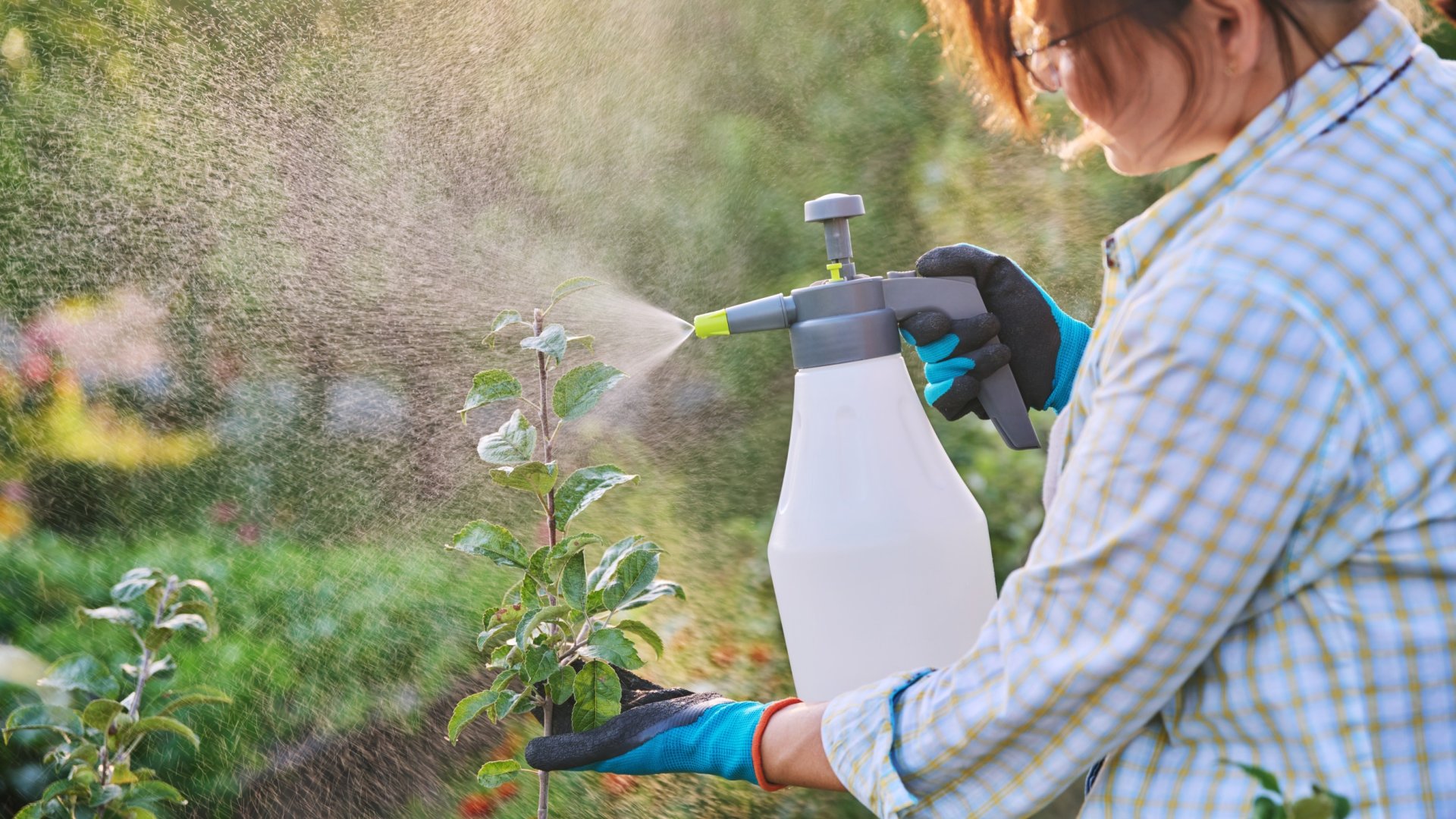 Késő van már a lemosó permetezéshez? 