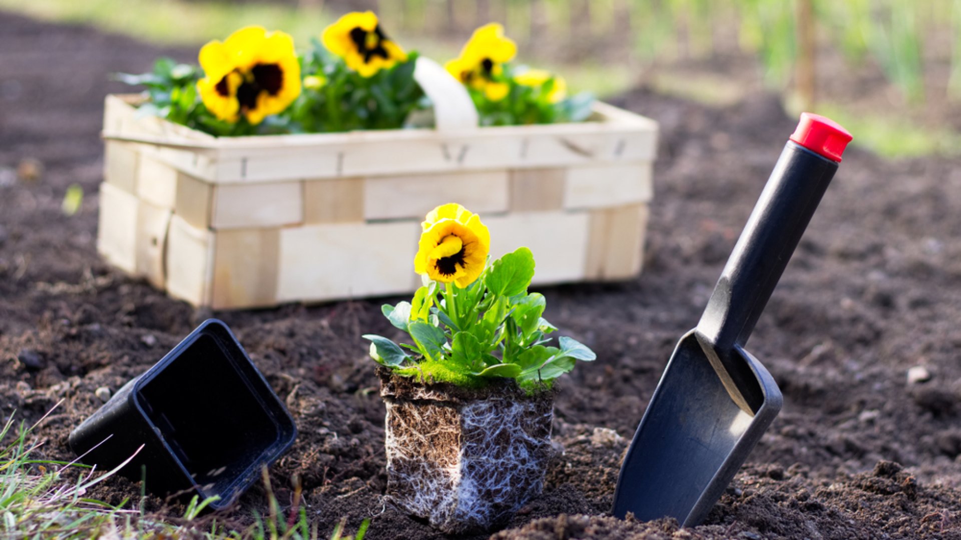 Így készítsd fel a kertedet a tavaszi ültetésre! 10 pontos ellenőrző lista