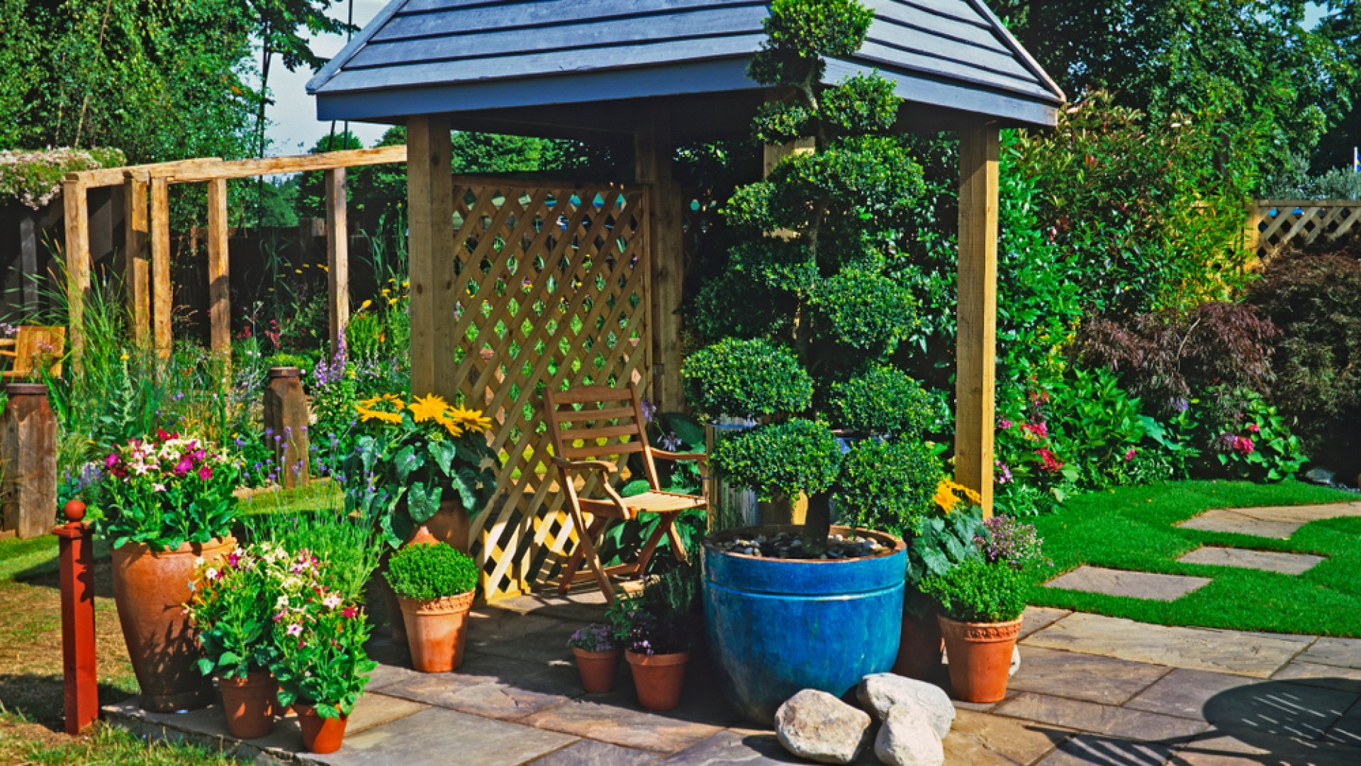 Így ültess cserépbe díszcserjéket, fákat, akár gyümölcsfákat is