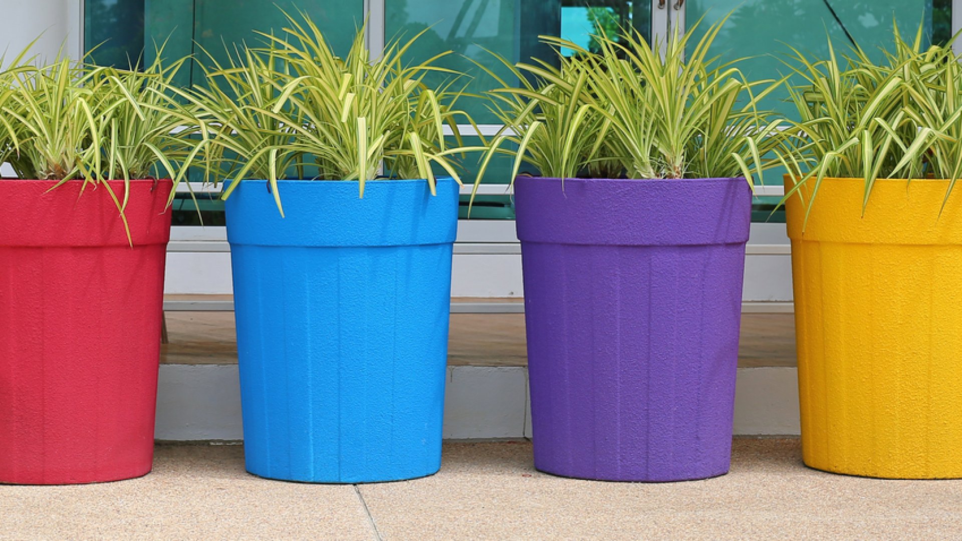 Mivel töltsük fel a nagyobb cserepek alját? Így spórolhatsz a virágfölddel! 