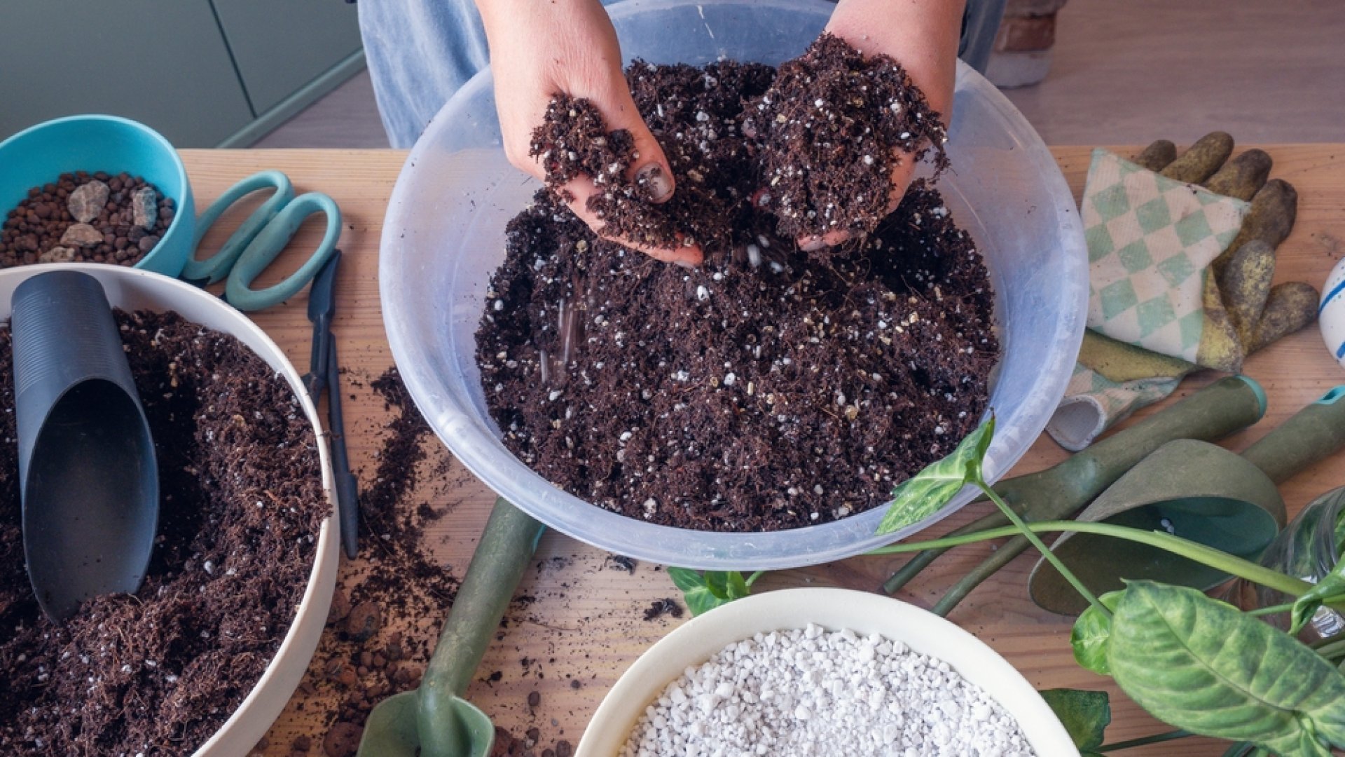 Virágföld saját kezűleg: 6 házi készítésű virágföldkeverék recept