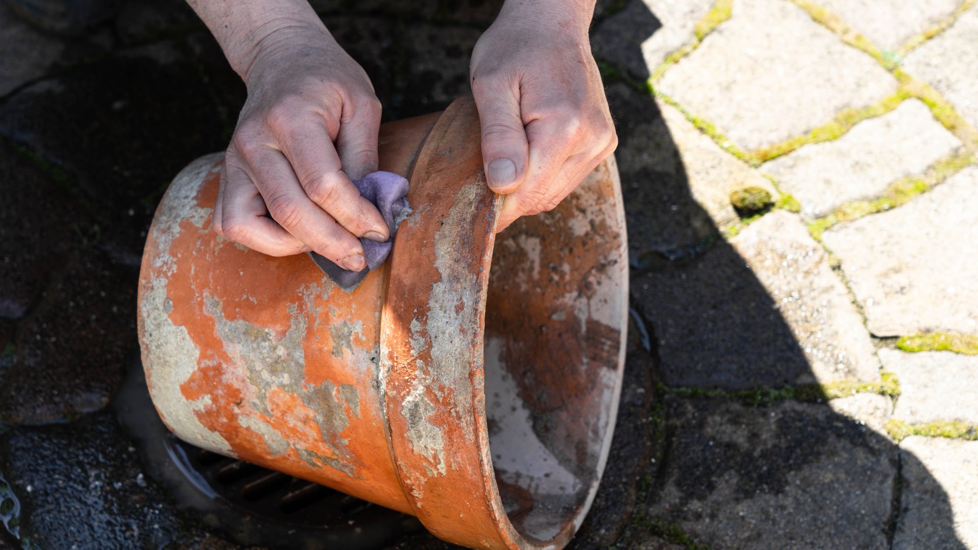 Hat egyszerű lépés a virágcserepek tisztítására