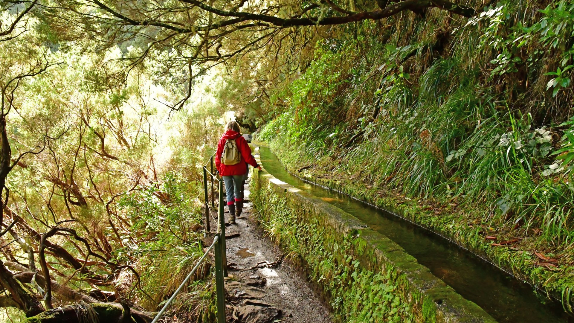 Mi az a Levada? – Tudj meg többet Madeira egyedülálló öntözőrendszeréről! Mi az a Levada? – Tudj meg többet Madeira egyedülálló öntözőrendszeréről!