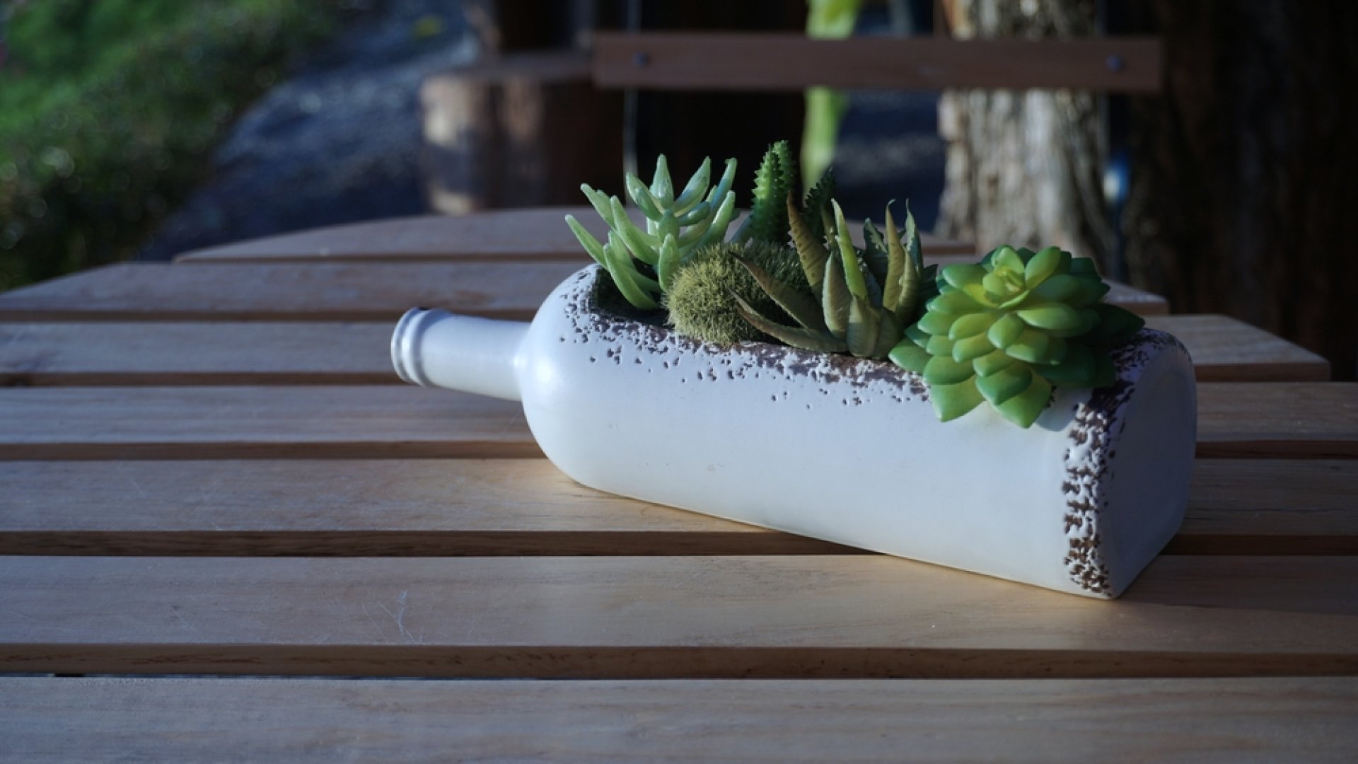 Így ültesd el a pozsgás növényeidet nagyon kreatívan!