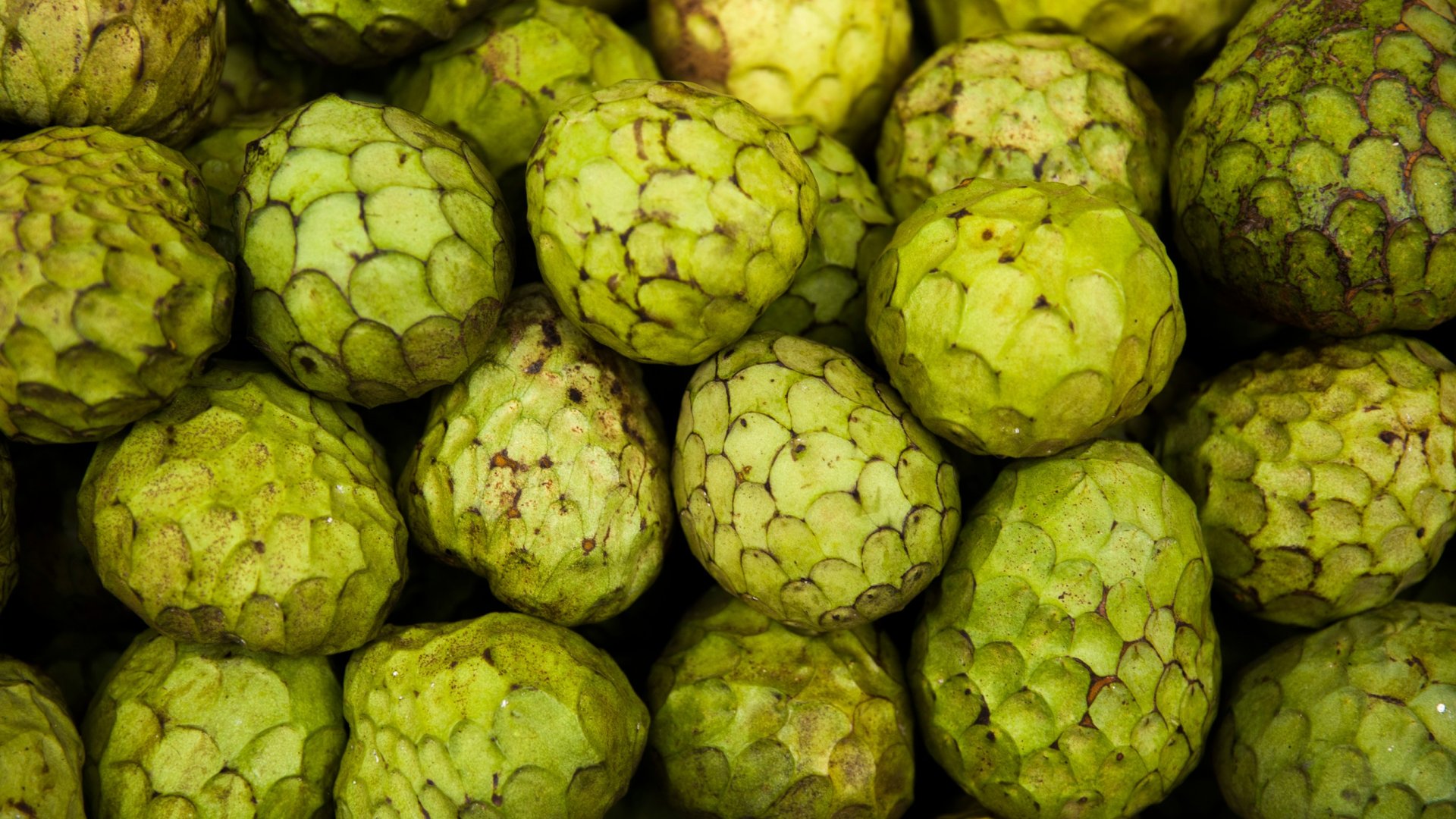 Az Anona, avagy az egzotikus országok almája Az Anona, avagy az egzotikus országok almája