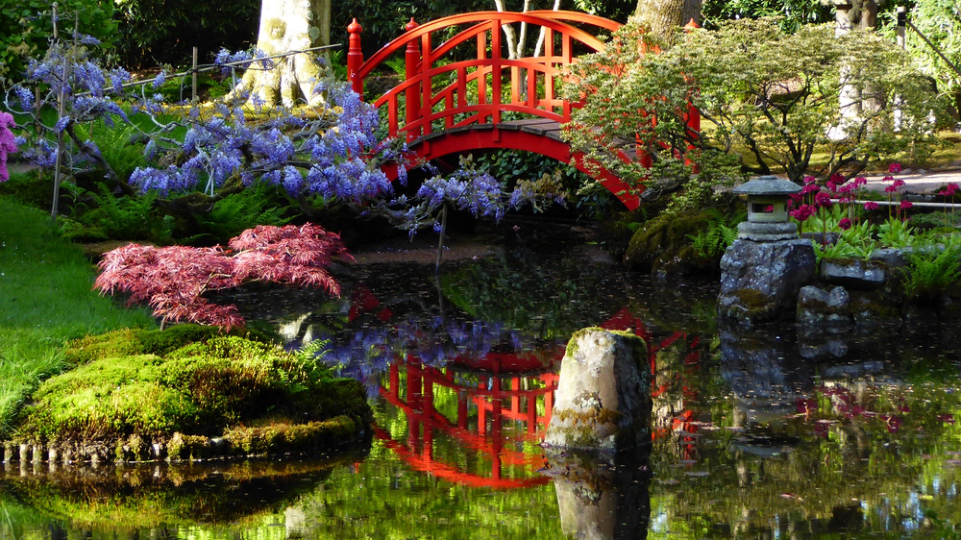 Egy profi japán kertész elárulta a japán kertészet 3 legnagyobb titkát