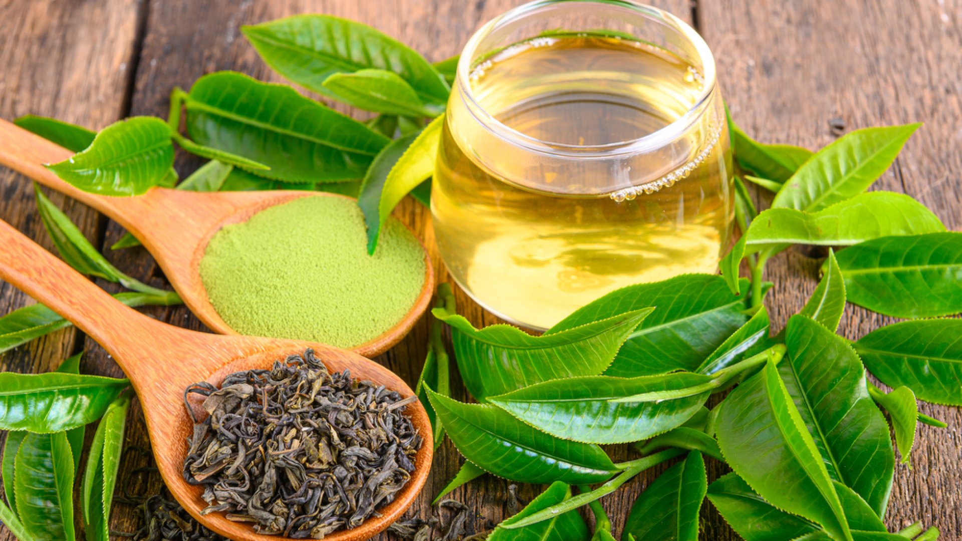 Saját teacserjéd lehet - mutatjuk, hogyan ültess teanövényt!