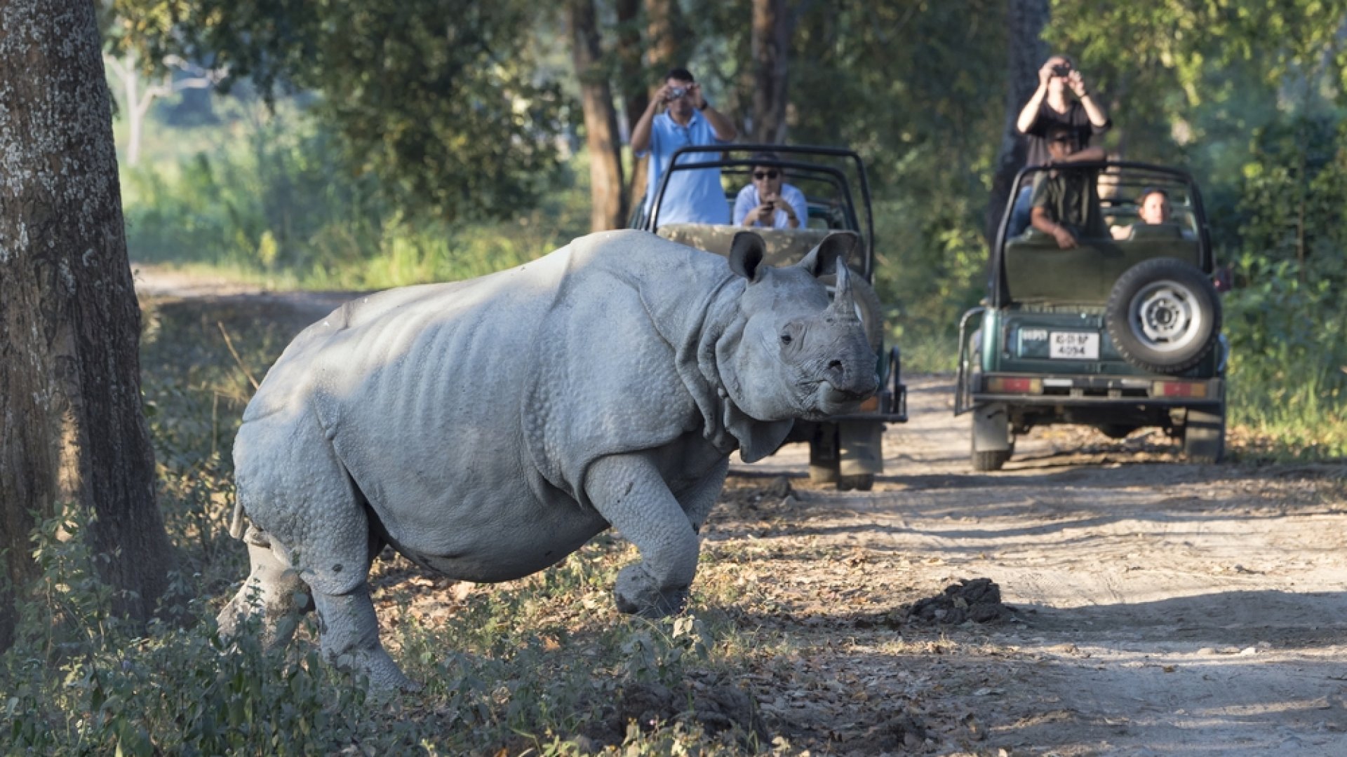 1977 óta 2022 volt az első orvvadászat-mentes év a Kaziranga Nemzeti Parkban 1977 óta 2022 volt az első orvvadászat-mentes év a Kaziranga Nemzeti Parkban