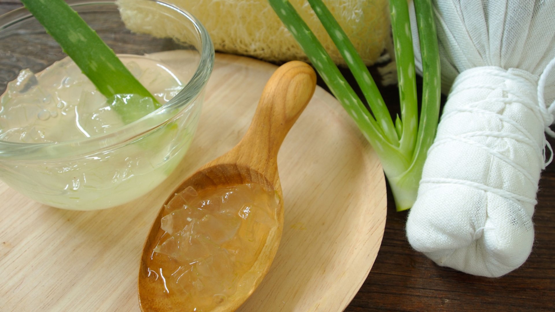 Meg fogsz lepődni mennyi mindenre jó az Aloe Vera: az Aloe összes felhasználási módja