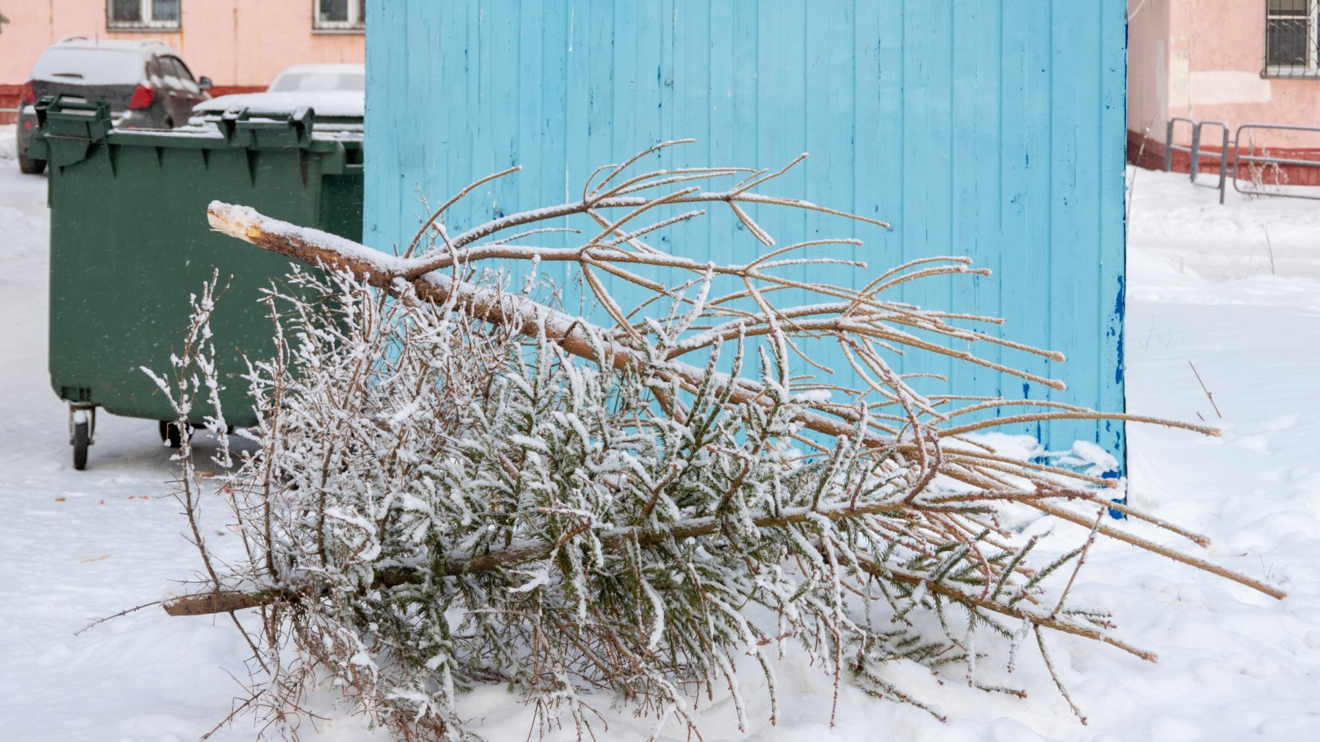 Karácsonyfa felhasználása