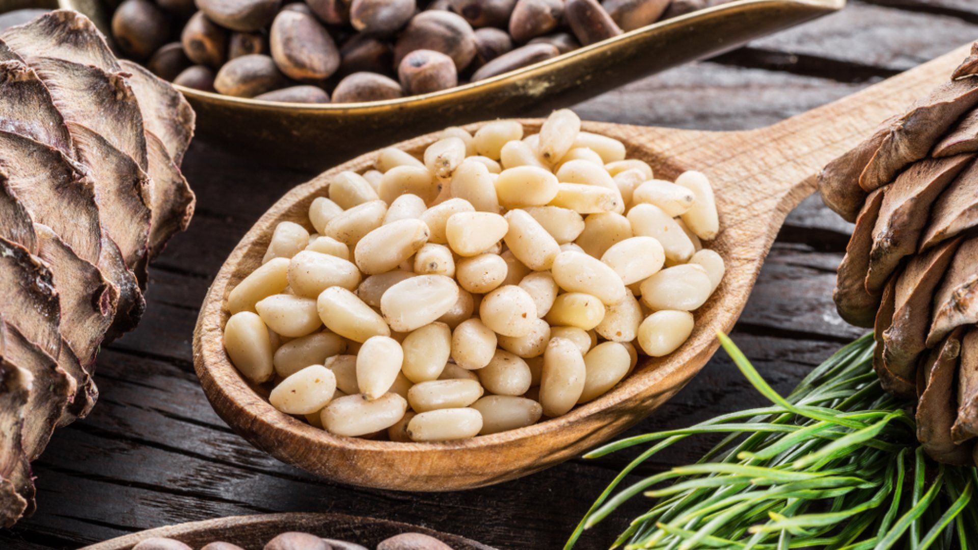 Fenyőmag betakarítás – Mikor és hogyan kell begyűjteni a fenyőmagot?