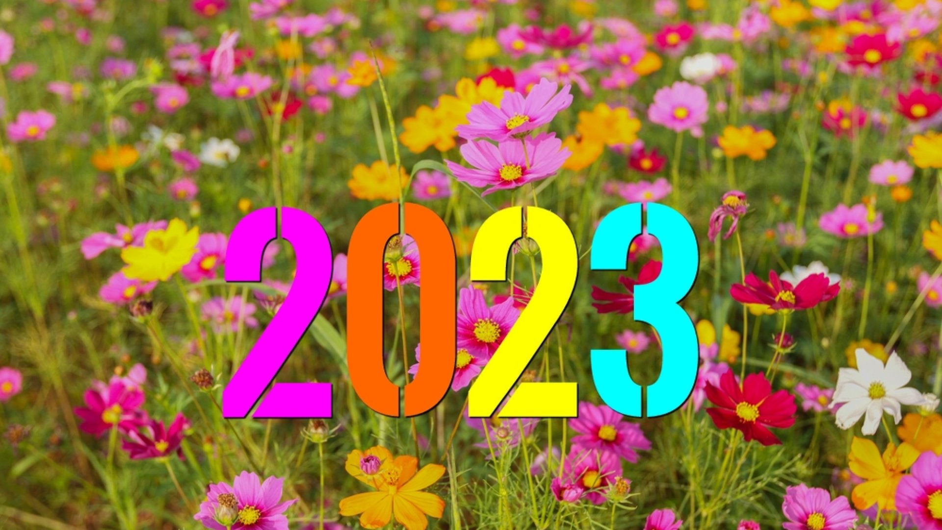 5 újévi fogadalom kertészeknek 2023-ra 5 újévi fogadalom kertészeknek 2023-ra