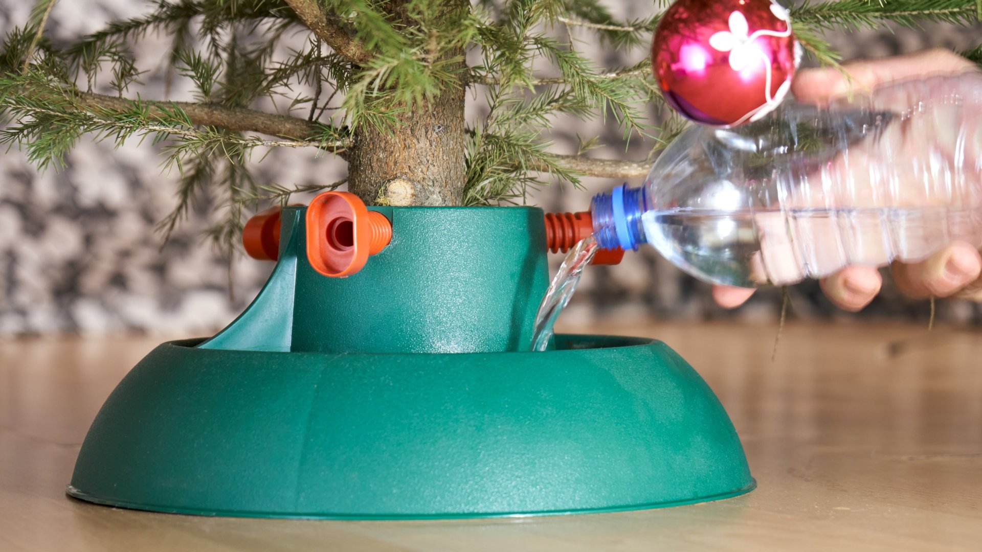 karácsonyfa öntözése