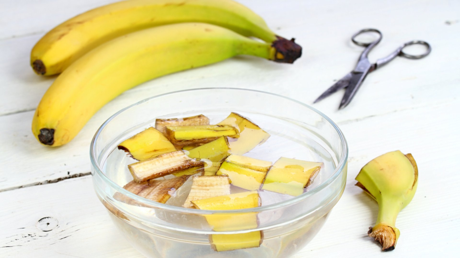 Te kidobod a banánhéjat? Pedig ez a legértékesebb kertészeti alapanyag! Te kidobod a banánhéjat? Pedig ez a legértékesebb kertészeti alapanyag!