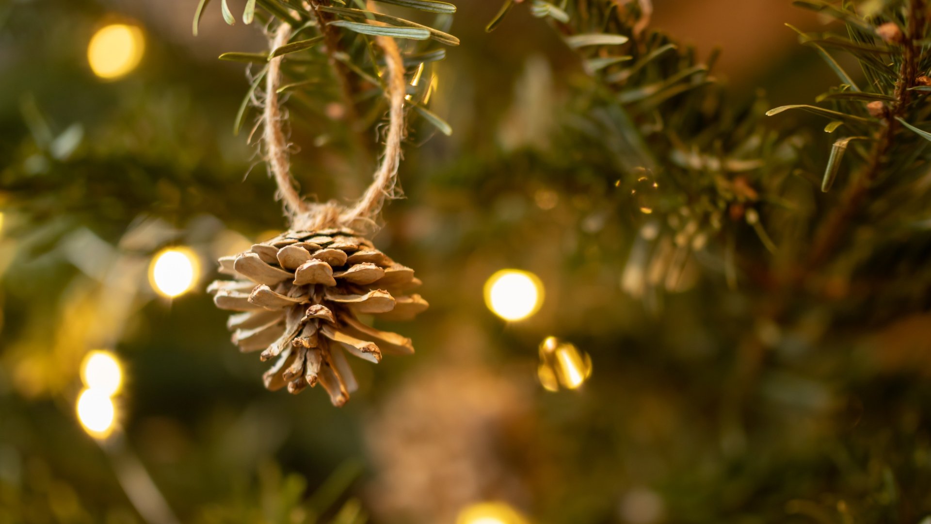 A Greta Thunberg által ihletett karácsonyi dekorációs trend, amiről mindenkinek tudnia kellene! Légy zöldebb idén karácsonykor!