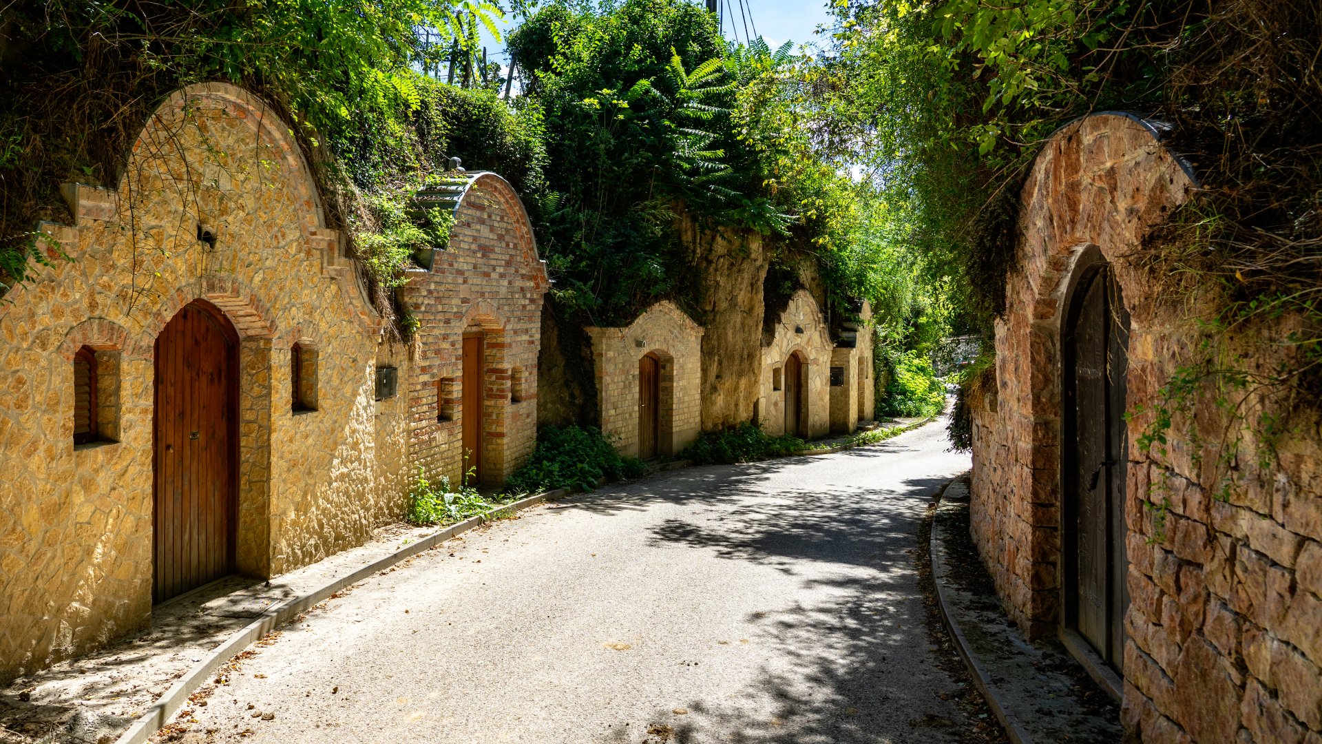 Fedezzük fel Magyarország borvidékeit! – Ismerd meg a nyúli pincesort!