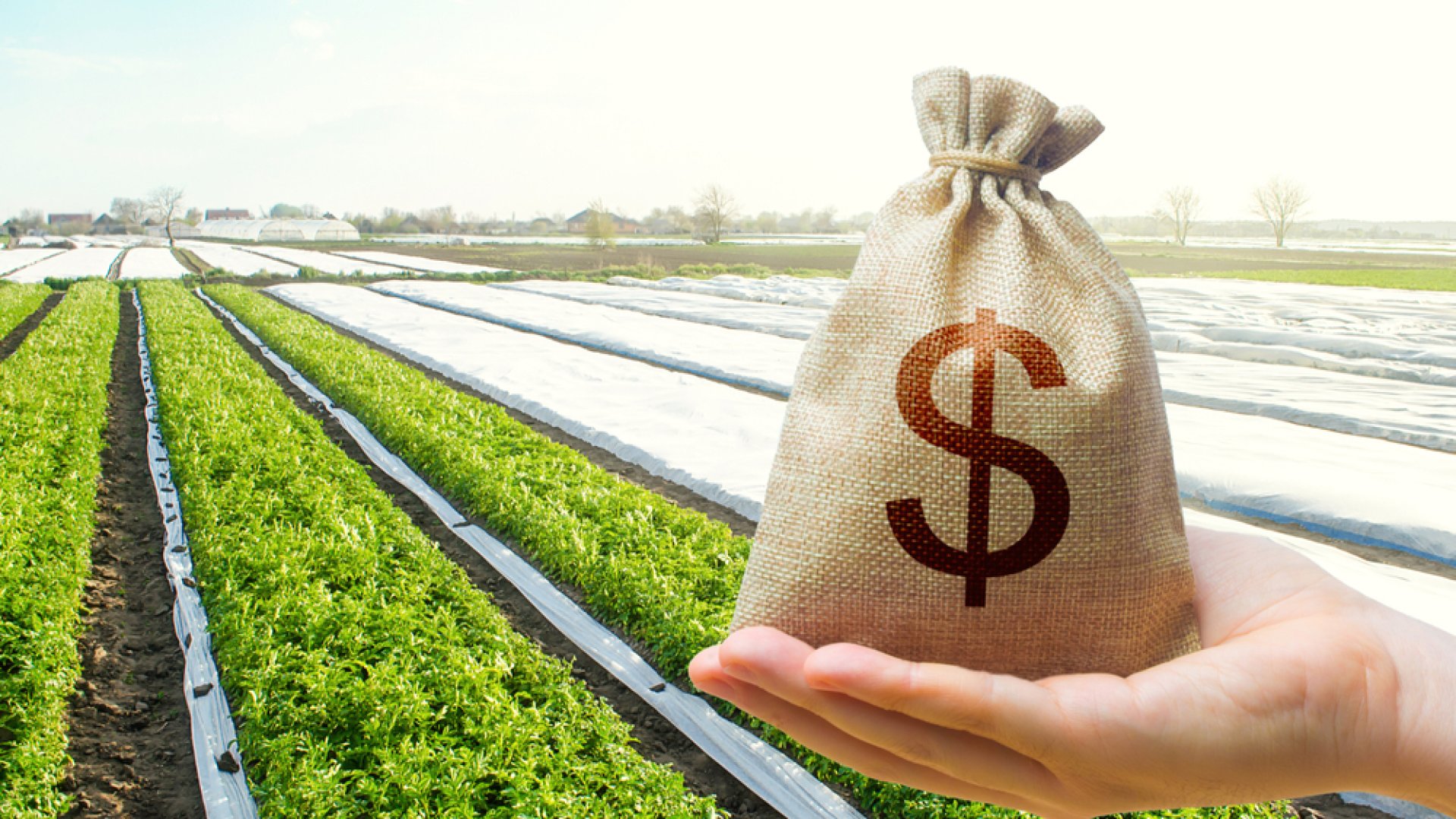 Nagyszerű pályázati lehetőség a mezőgazdasági kisüzemeknek Nagyszerű pályázati lehetőség a mezőgazdasági kisüzemeknek