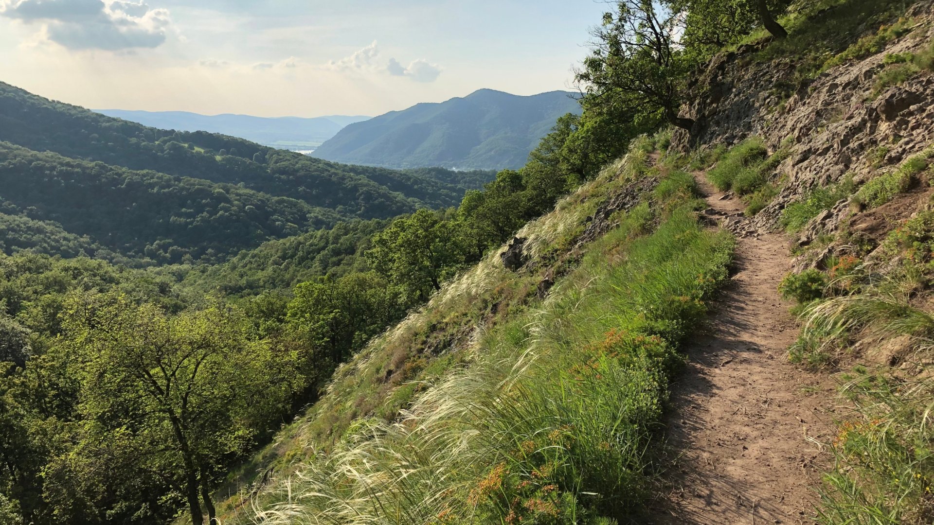 Túraútvonal Buda és a Dunakanyar között – Járjátok végig a Pálos utakat!