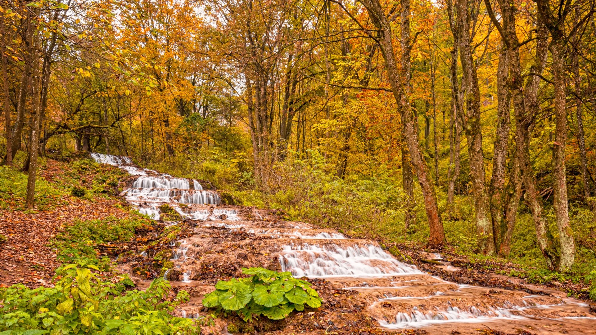 Kiránduljuk a Bükkben tavak, források és vízesések szomszédságában!