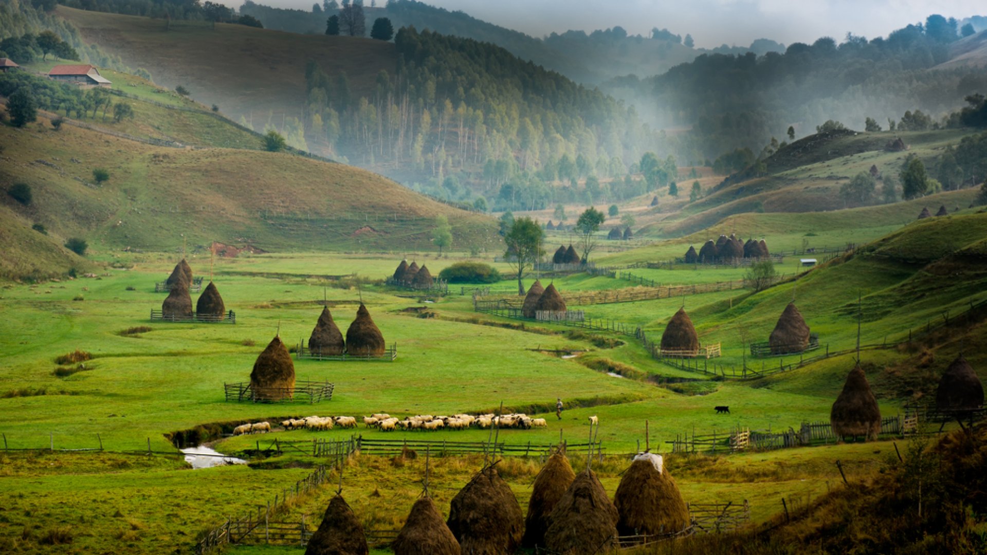 Az Élet bölcsője Erdélyben található- ezt látnod kell neked is