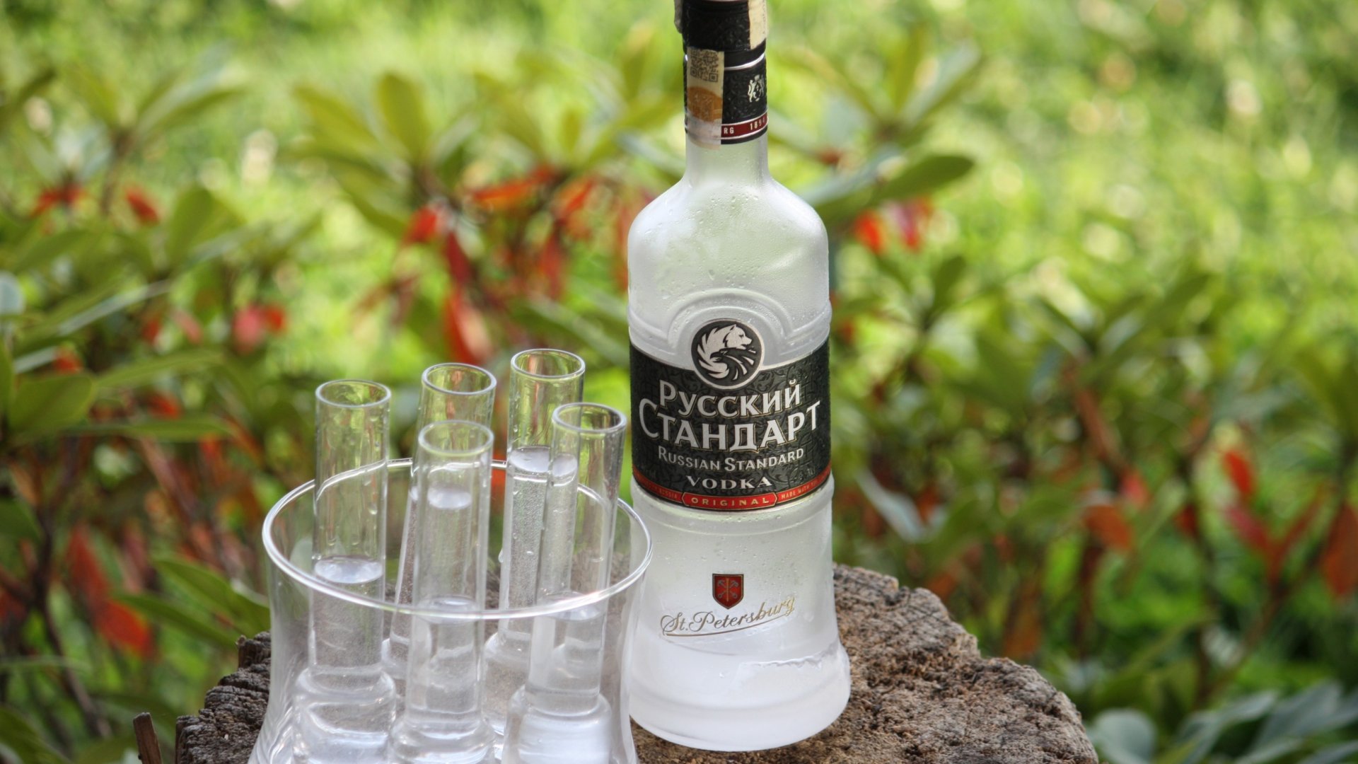 A vodka valóban elpusztítja a gazt? Próbáld ki ezt a háztartási módszert a gyommentesítéshez!